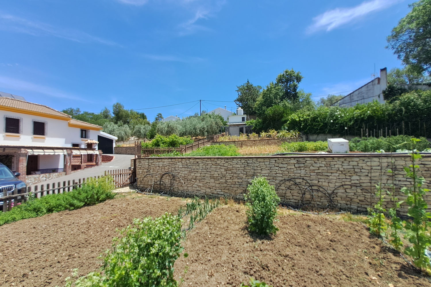 BEAUTIFUL COUNTRYSIDE HOUSE - CLOSE TO RONDA